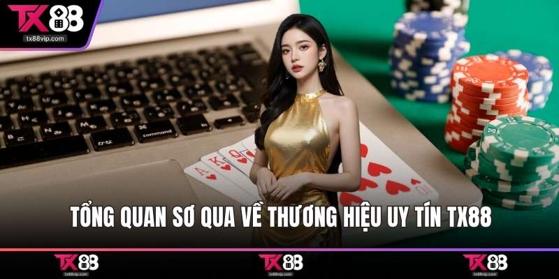 Tổng quan sơ qua về thương hiệu uy tín TX88